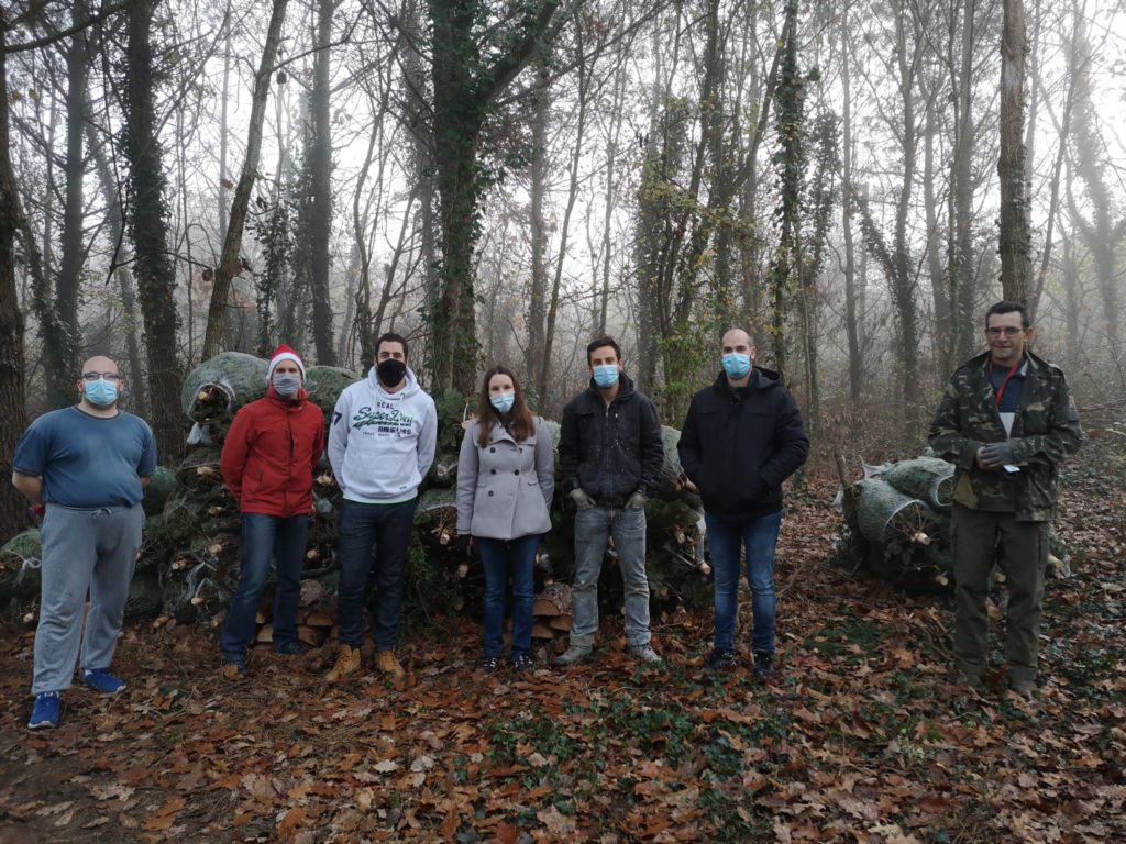opération sapins 2020