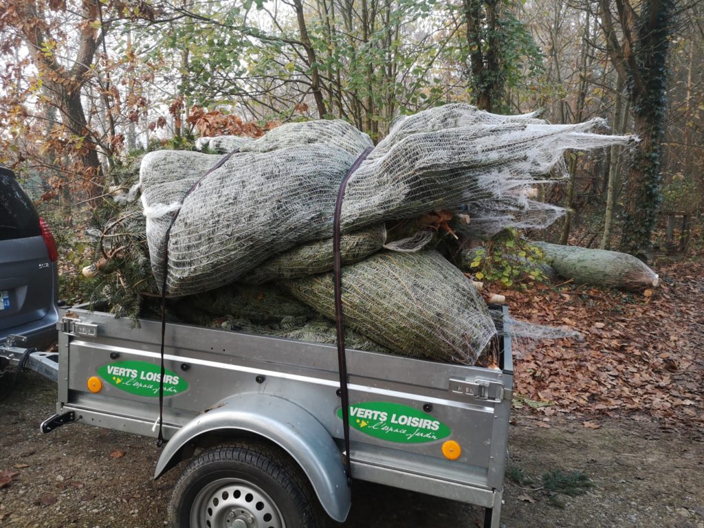 opération sapins 2020
