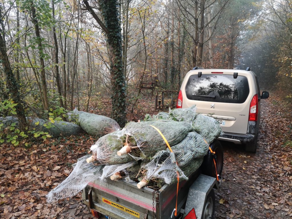 opération sapins 2020