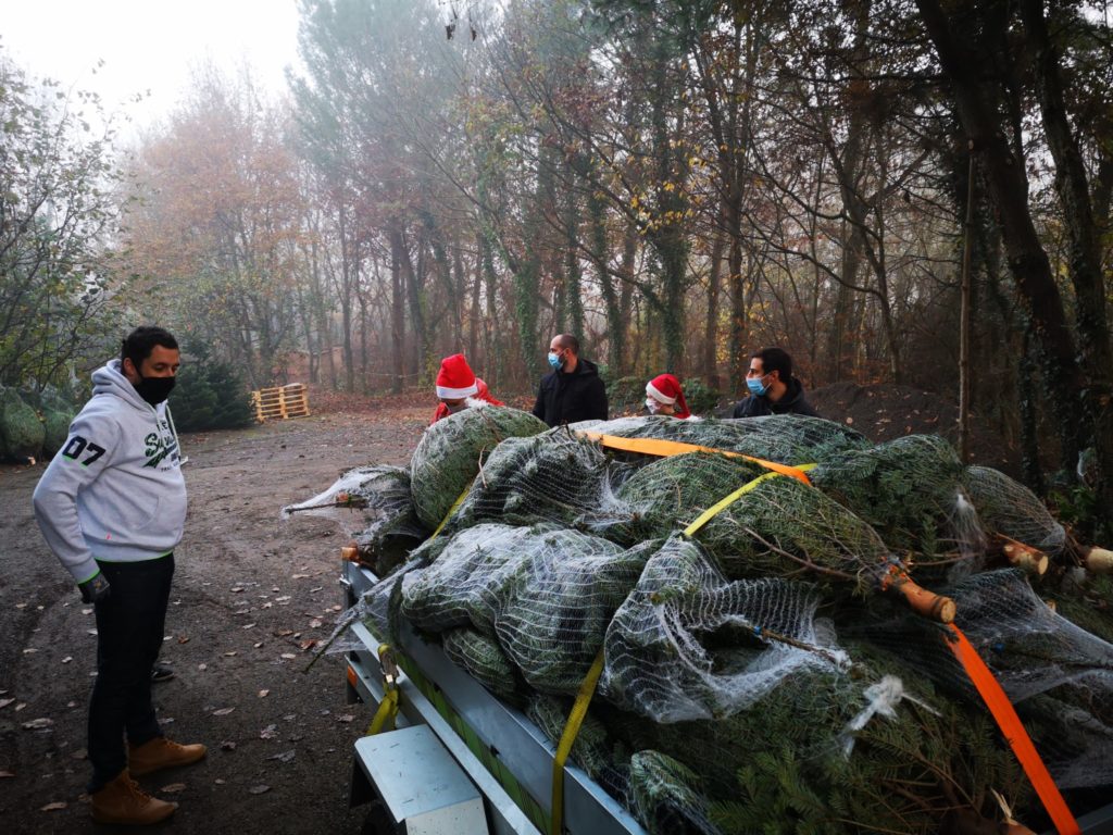 opération sapins 2020