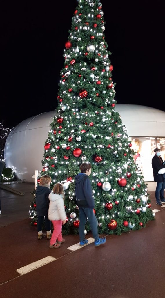 Famille T devant le sapin de Noël